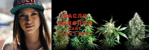 соль ск Богданович