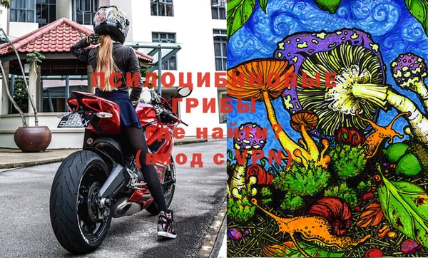 бутират Покачи