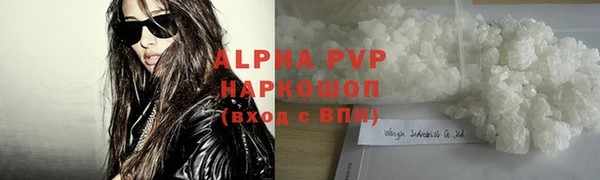 прущие грибы Богородицк