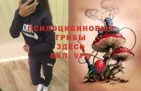 соль ск Богданович