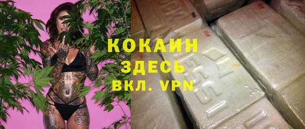 соль ск Богданович