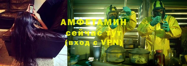 соль ск Богданович